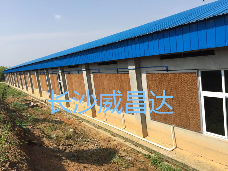 夏季燒烤模式開啟，您的養(yǎng)殖畜禽舍降溫了嗎？湖南水簾風機專業(yè)為養(yǎng)殖畜禽舍降溫