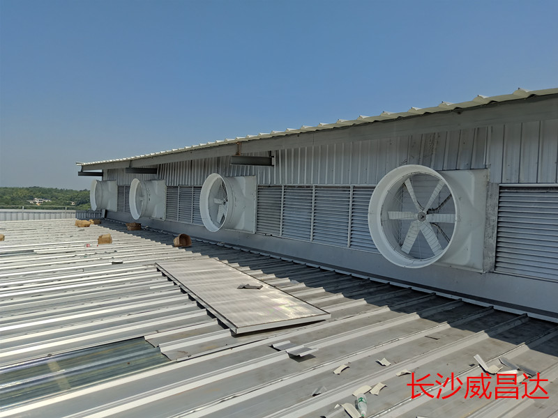 簡(jiǎn)單又實(shí)用的車間降溫方法了解一下